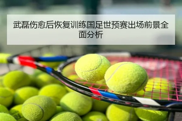 武磊伤愈后恢复训练国足世预赛出场前景全面分析
